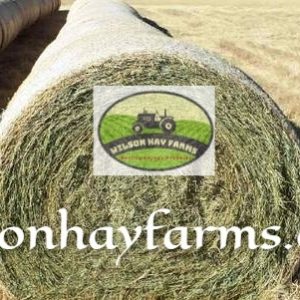 hay bales for sale