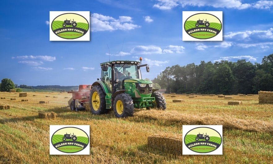 hay for sale near me